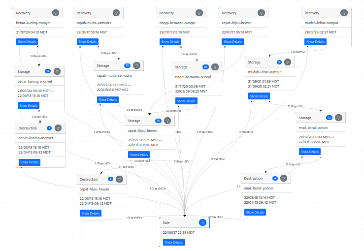 A more complicated purchase graph